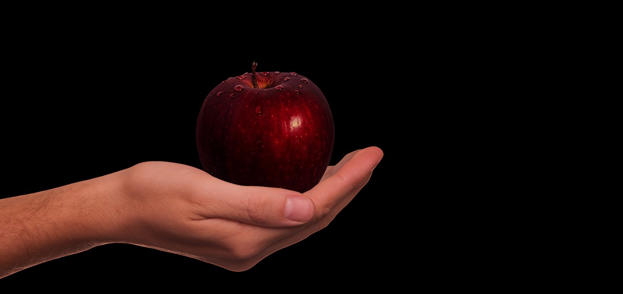 hand  apple  presentation free photo