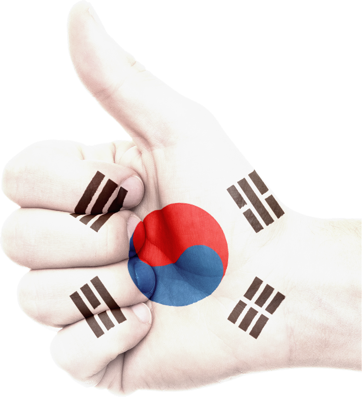 hand-south-korea-flag-national-pride-free-image-from-needpix