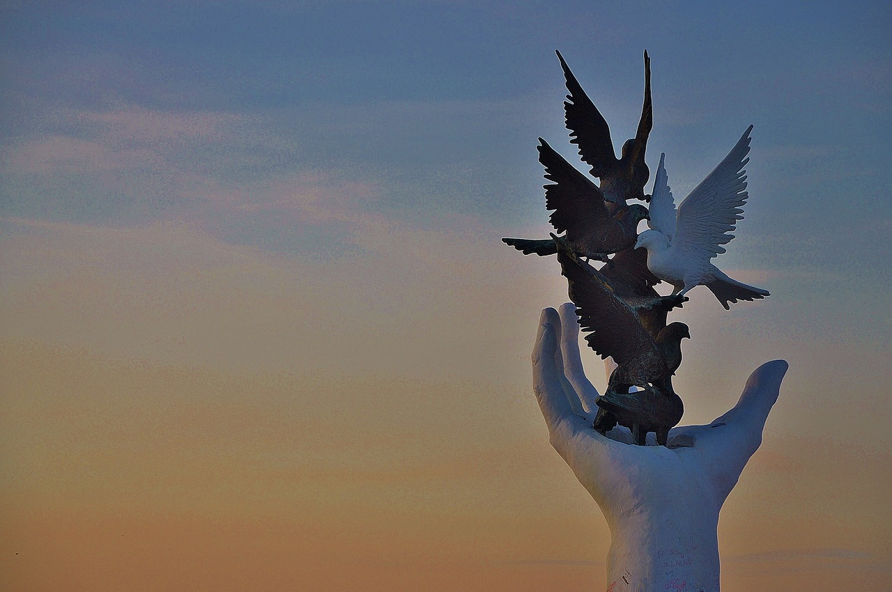 hand pigeons bird free photo