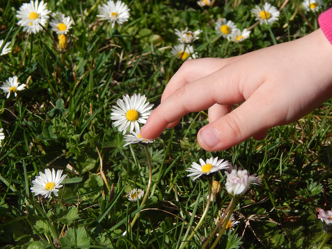 hand child grass free photo