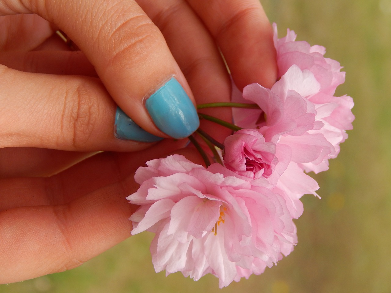 hand nails flowers free photo