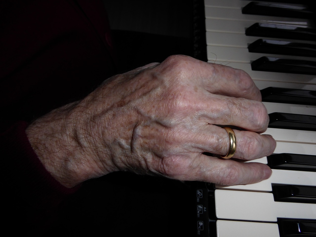 hand piano keys music free photo