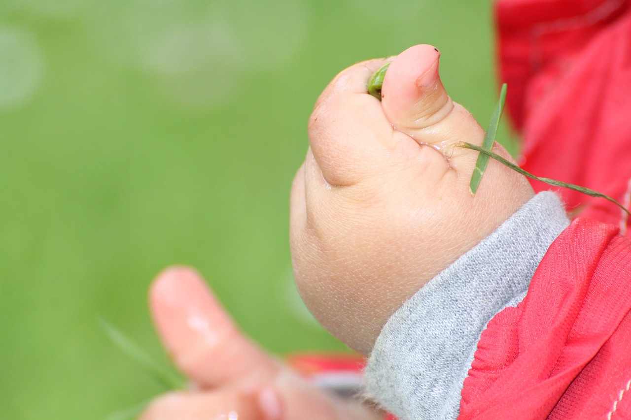 hand child's hand baby free photo