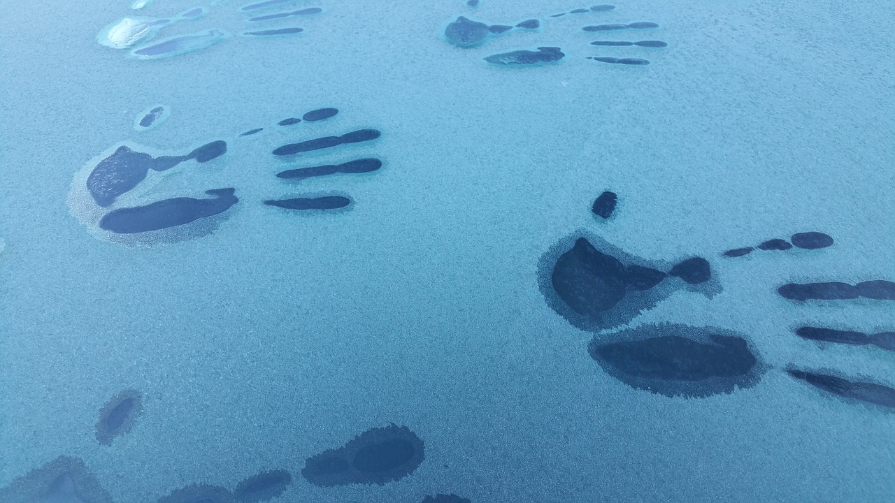hand print frost winter free photo