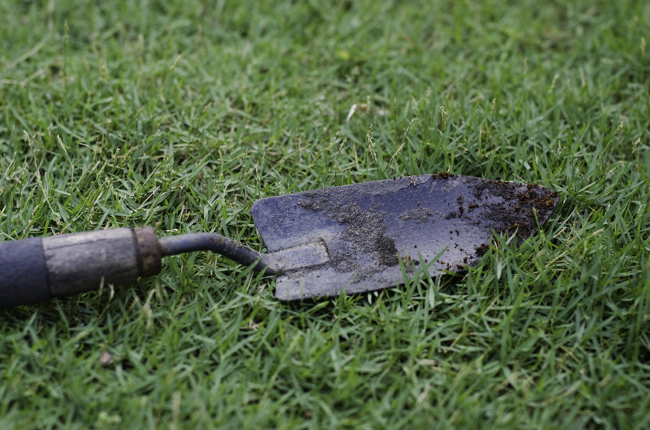 hand trowel garden tool soil free photo