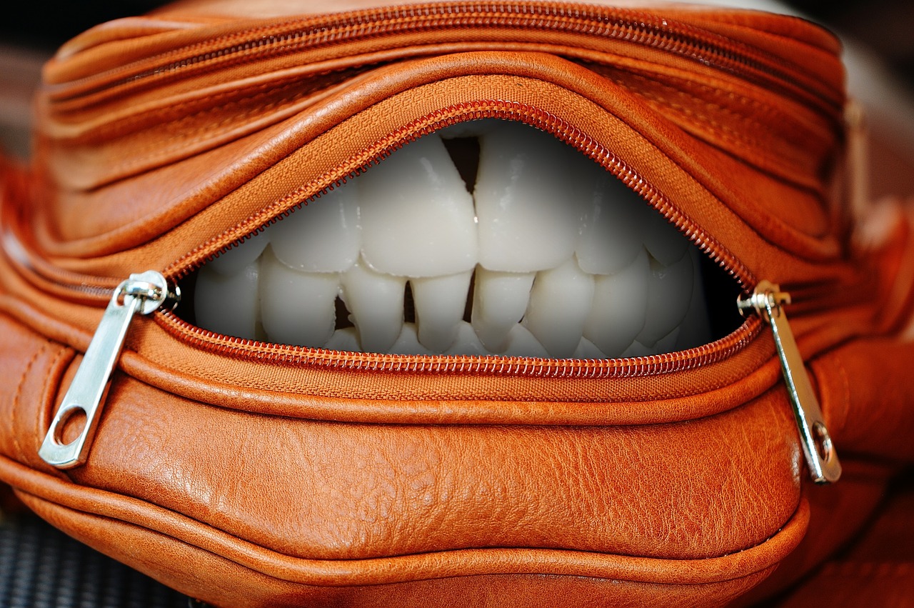 handbag open mouth free photo