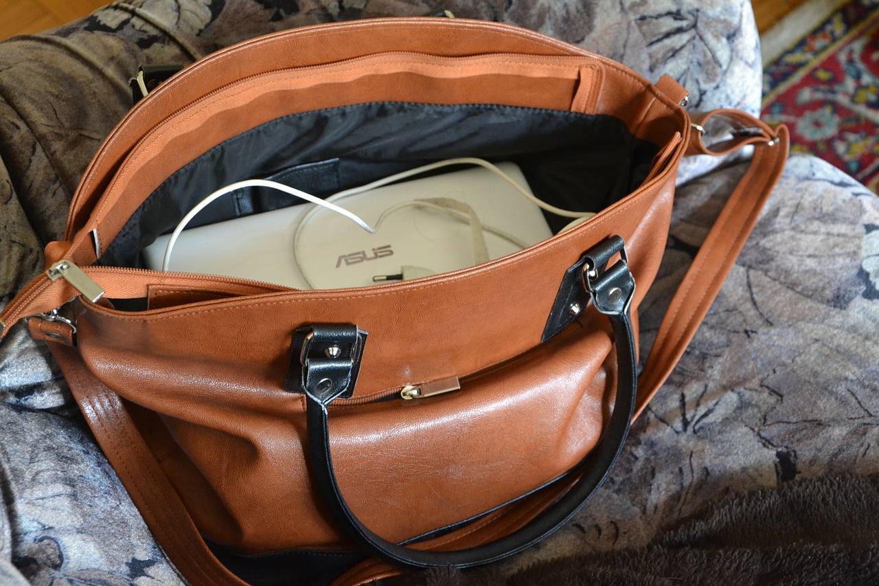handbag handbags bag free photo