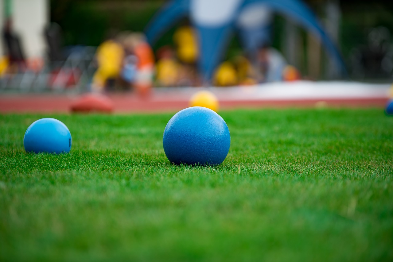 Download Free Photo Of Handball Ball Sport Grass Play From Needpix Com