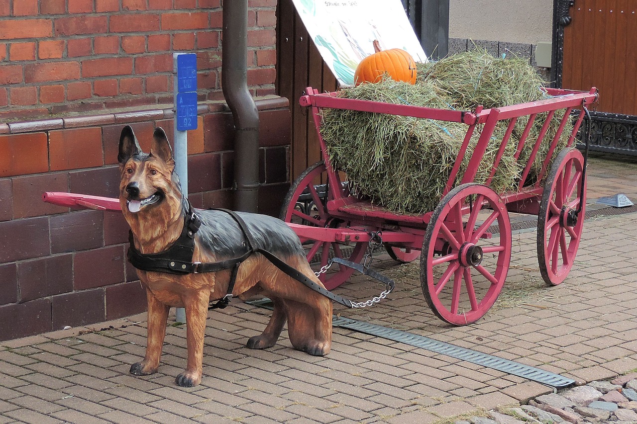 handcart figure dog free photo