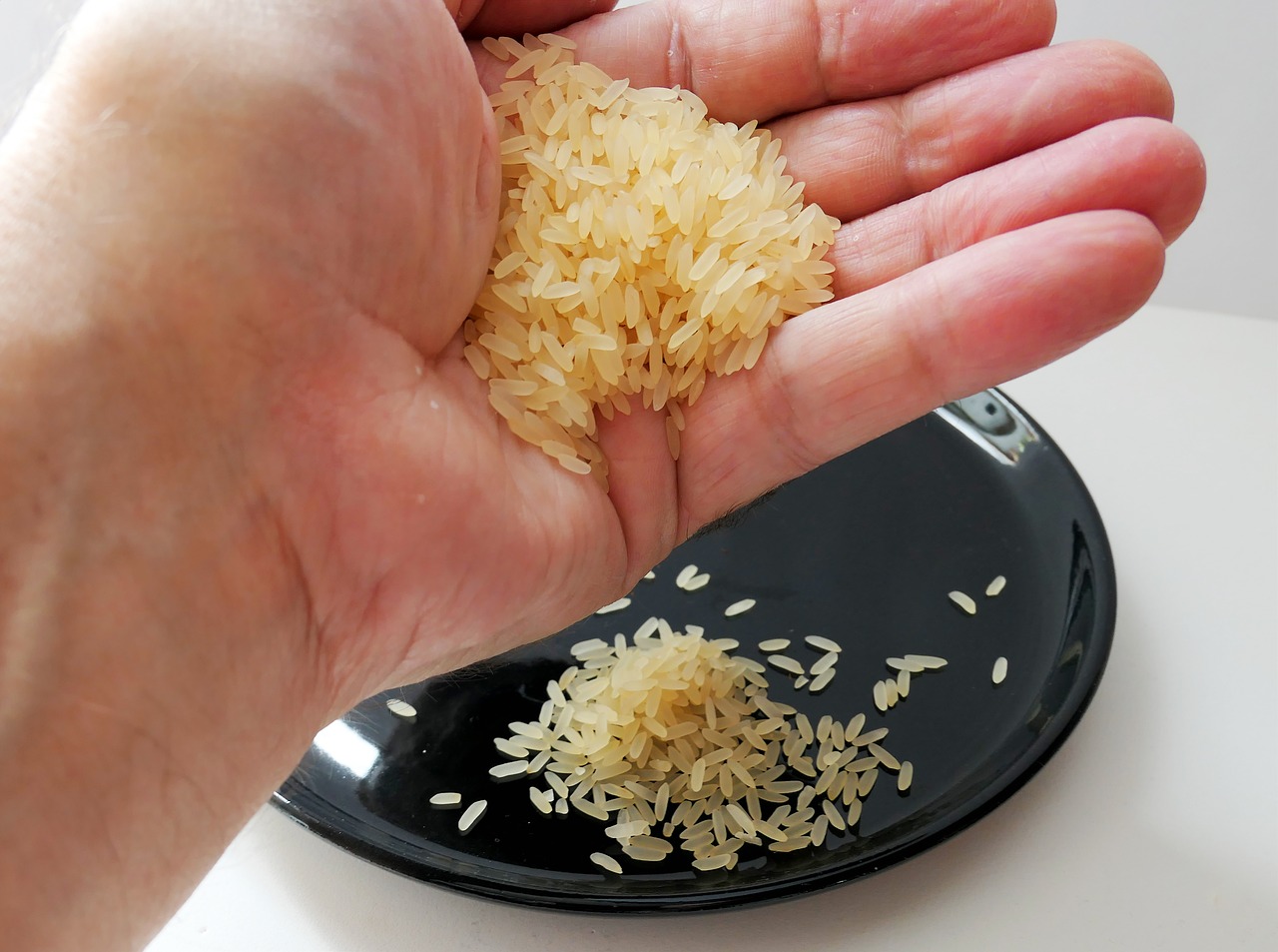 handful of rice rice rice bowl free photo
