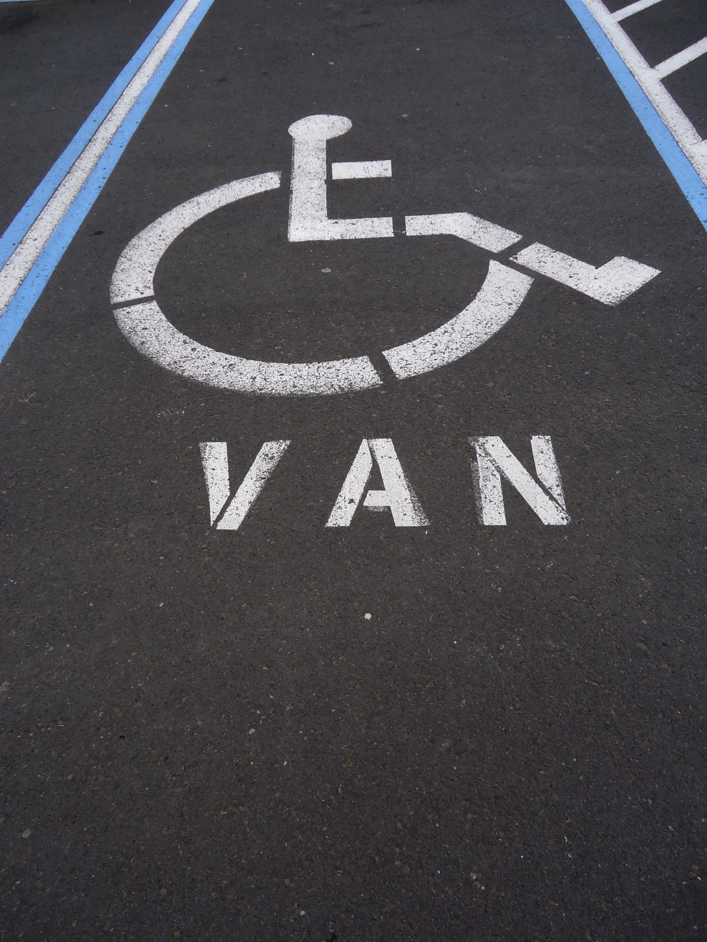 handicapped parking space free photo