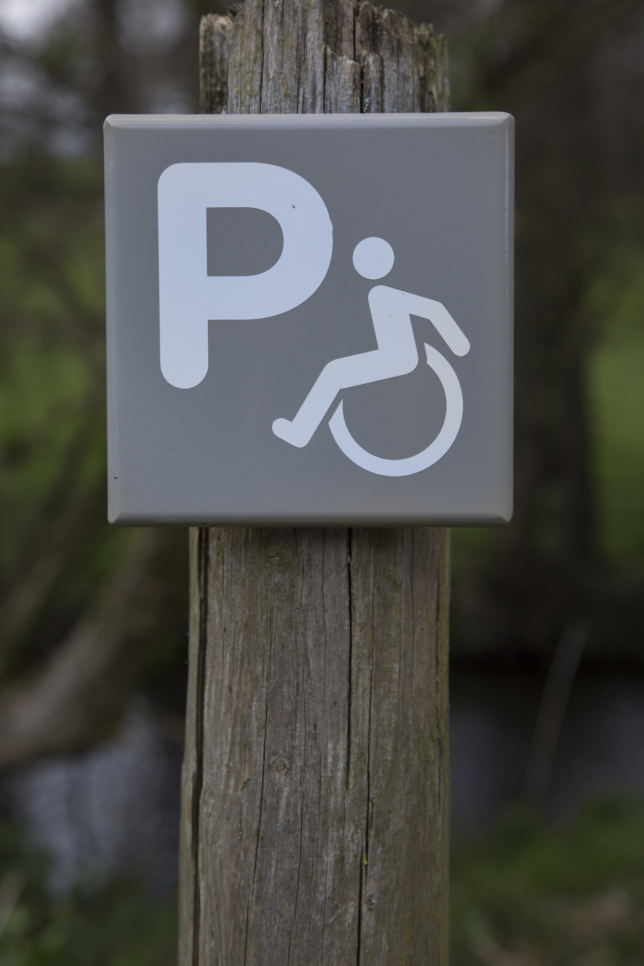 person sign handicap free photo