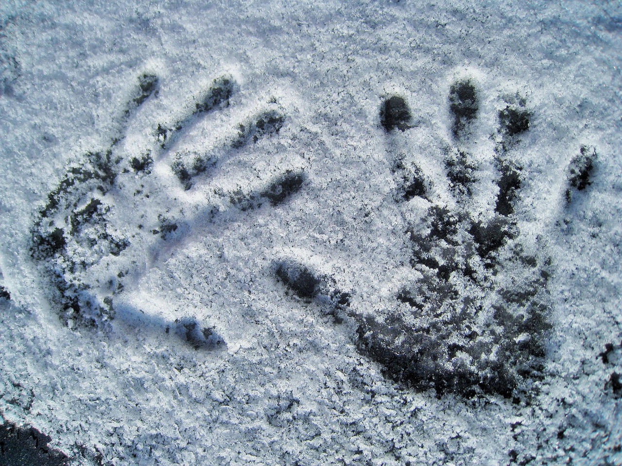 handprint in snow handprint snow white free photo