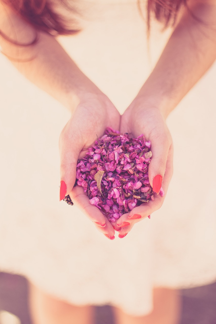 hands woman flowers free photo