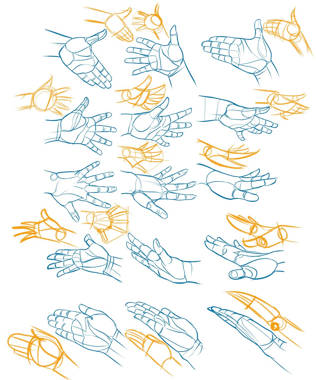 Download Free Photo Of Hands Reference Drawing Poses Free Pictures From Needpix Com