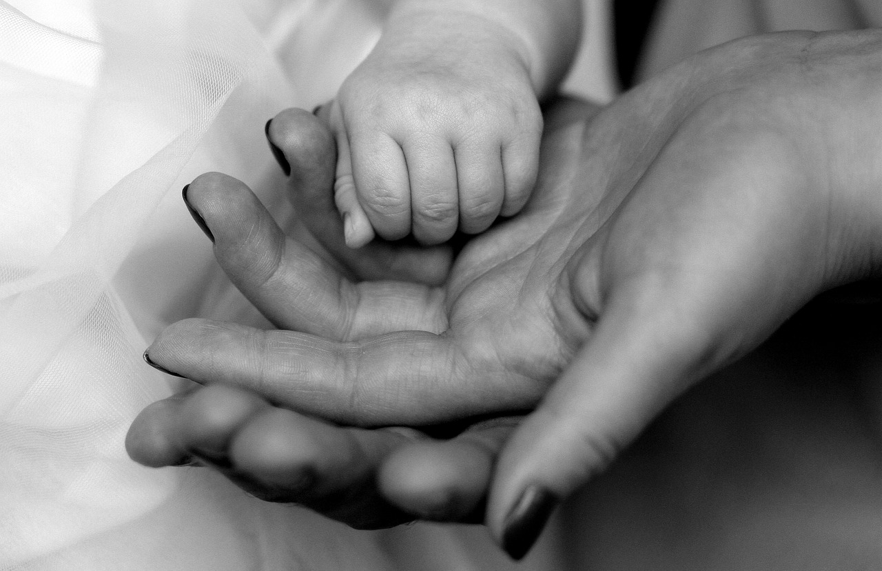 hands family love free photo