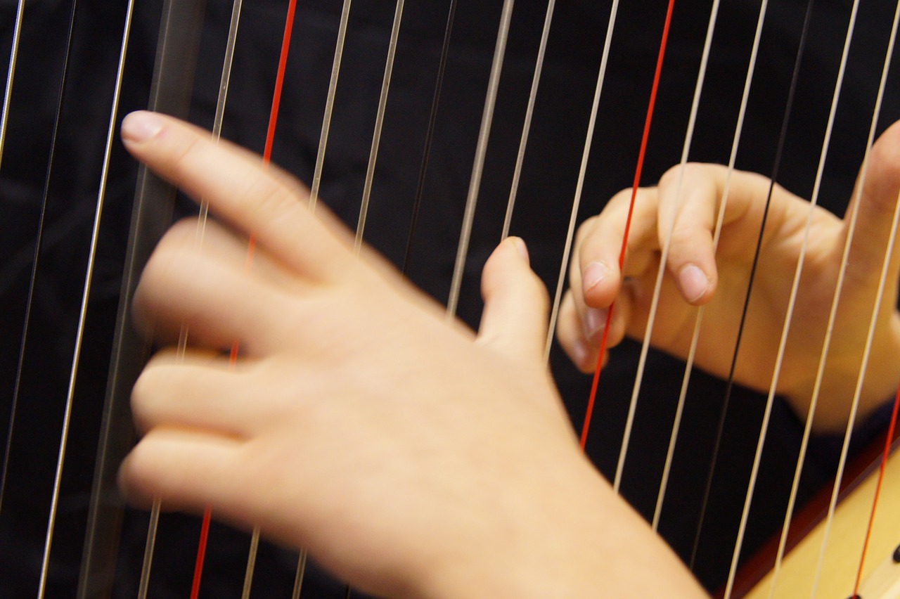 hands musical hands harp free photo