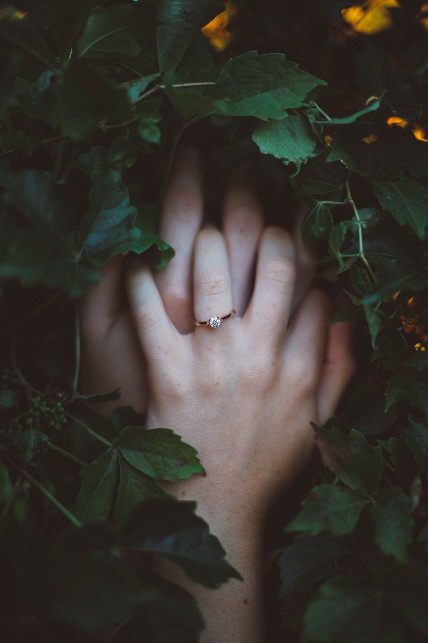 hands leaves plant free photo