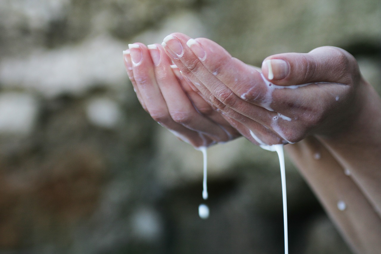 hands prayer milk free photo