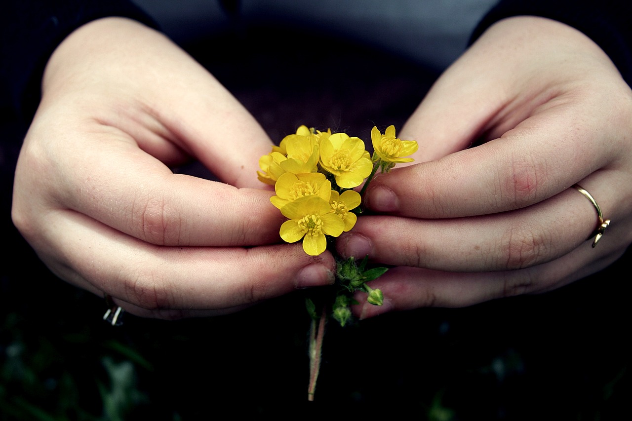 hands flowers yellow free photo