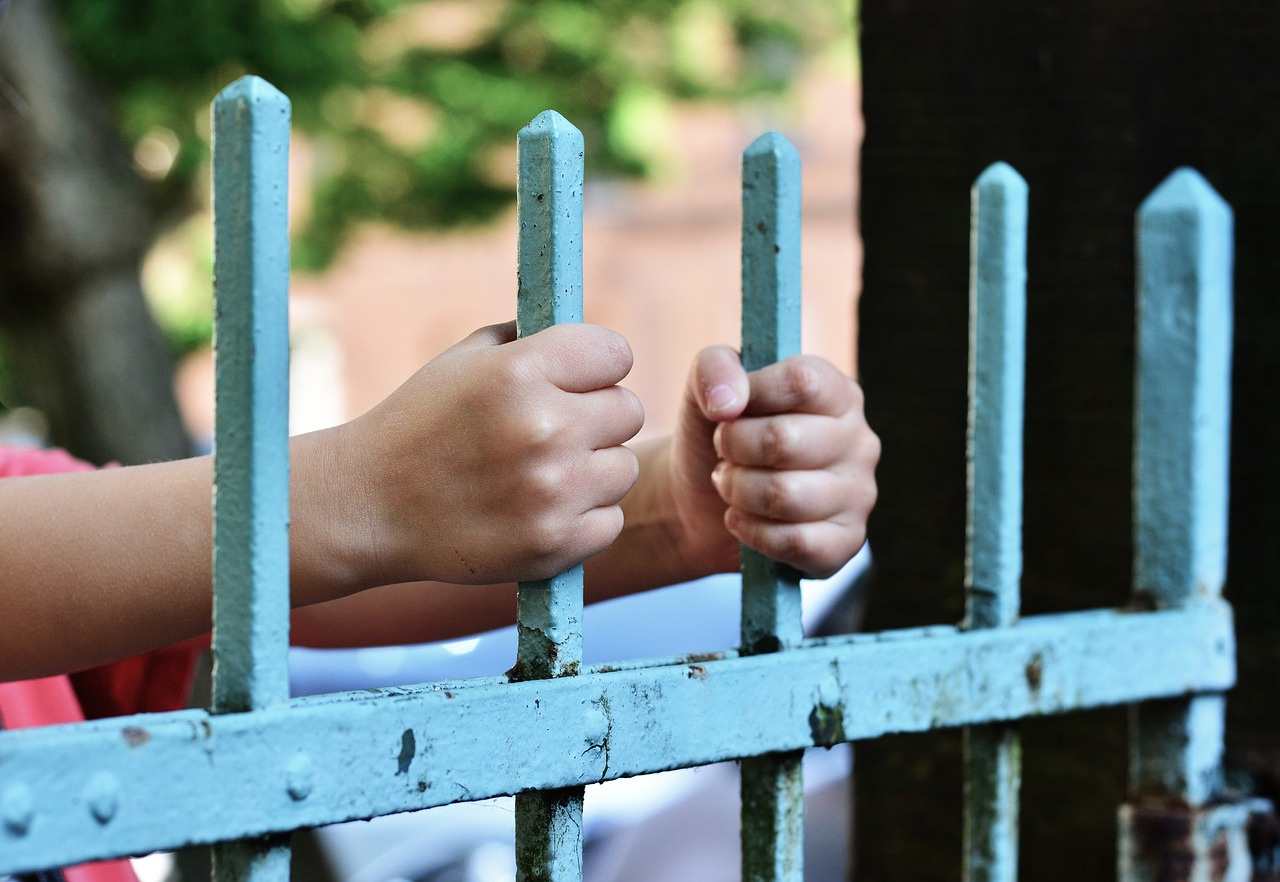 hands  fence  demarcation free photo