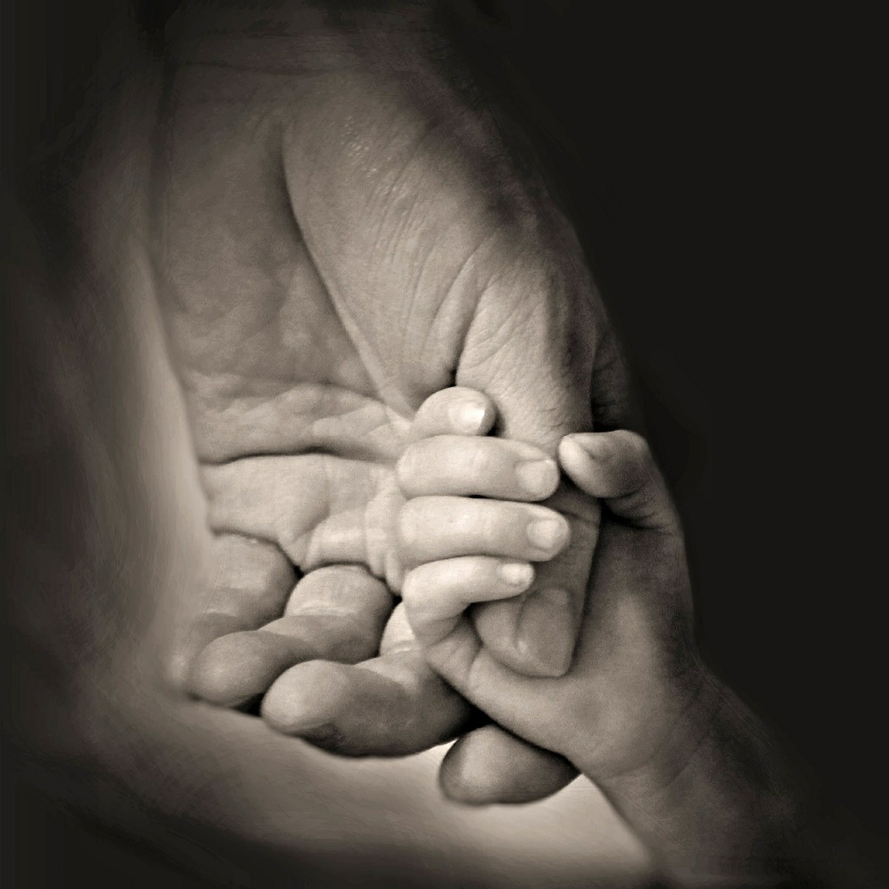 hands daddy father free photo