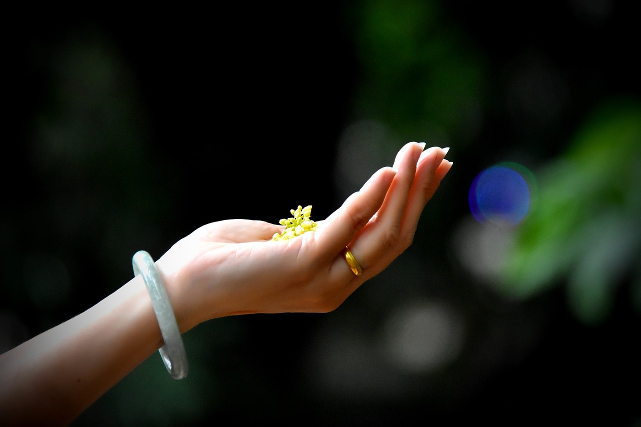 hands  light  flower free photo