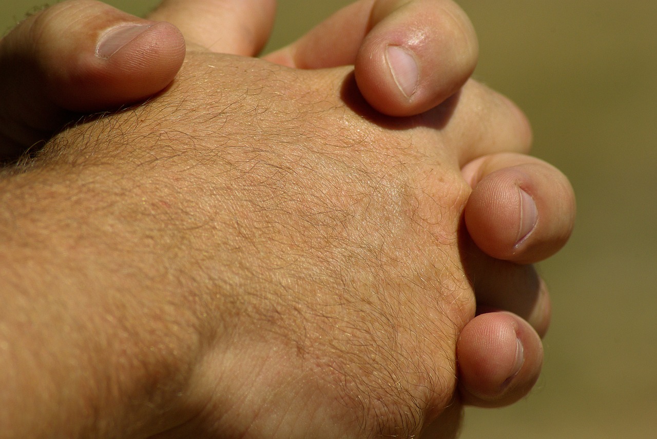 hands hands clasped pray free photo