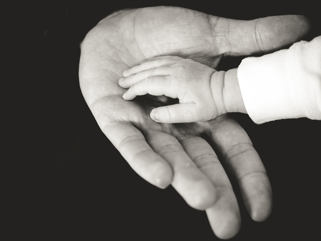 hands baby child free photo