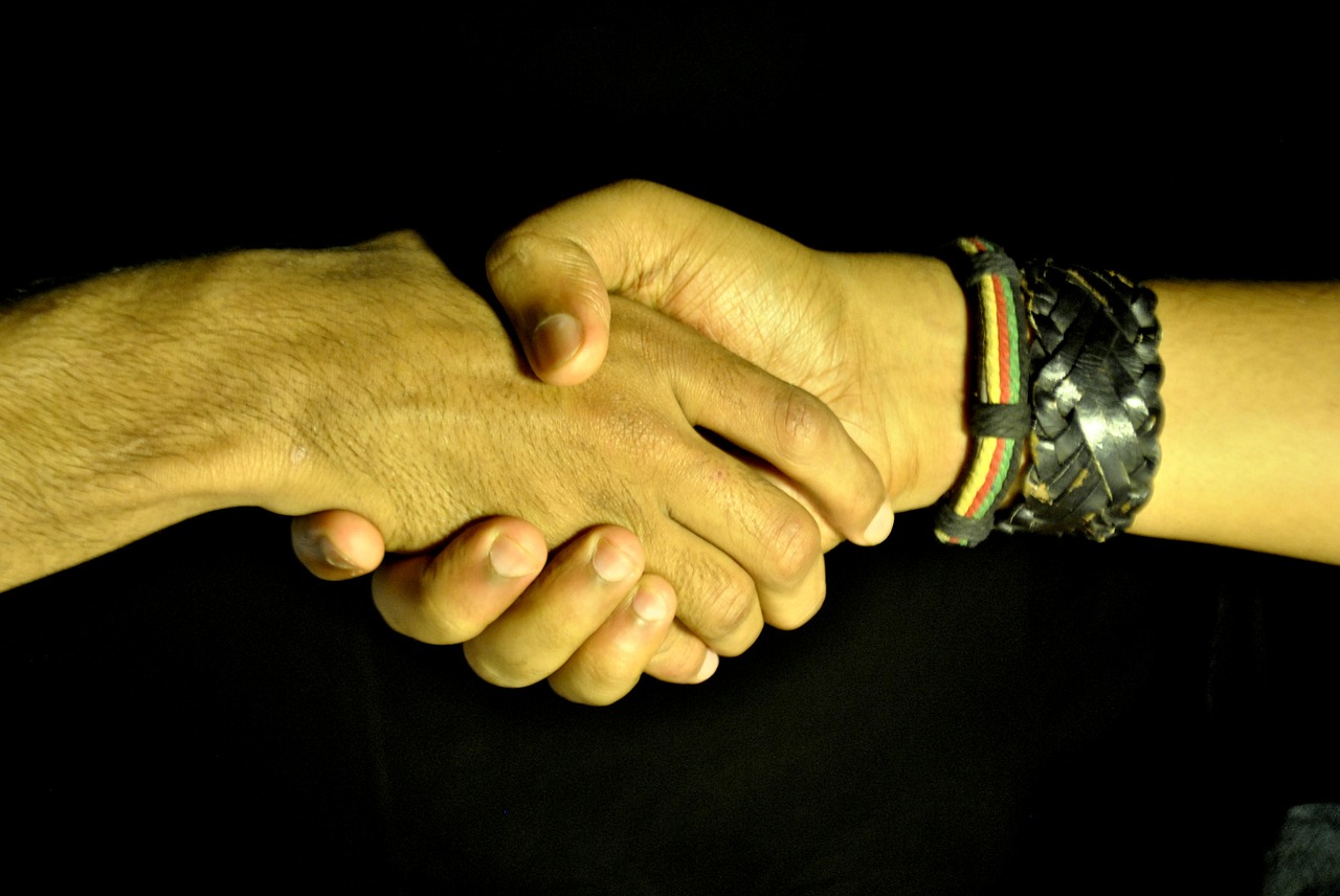 handshake shaking hands hands free photo