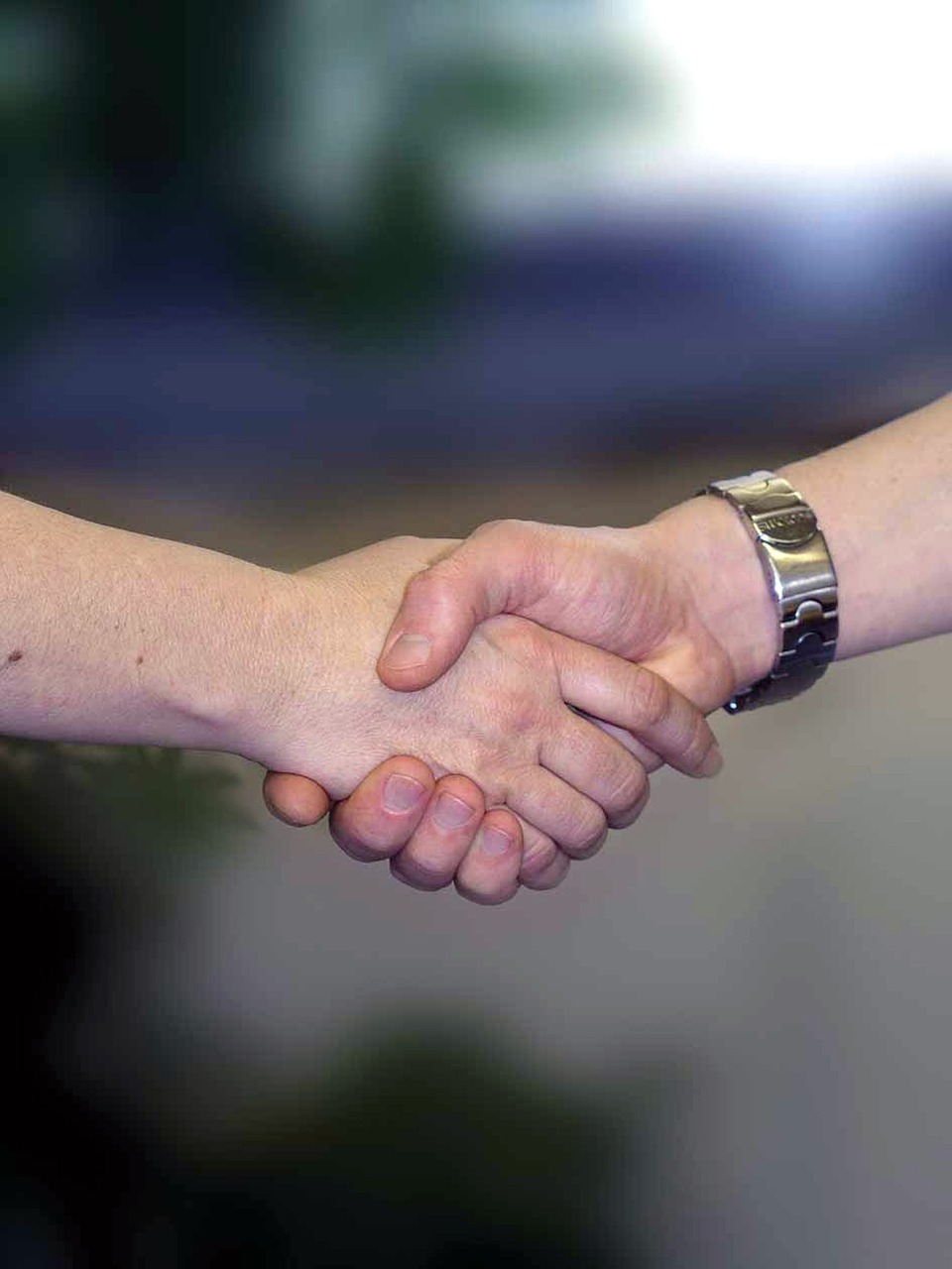 handshake hands welcome free photo