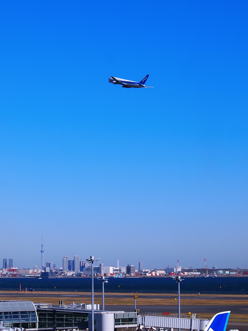 haneda haneda airport airport free photo