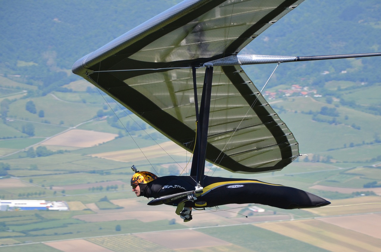 hang gliding delta-wing meeting free photo