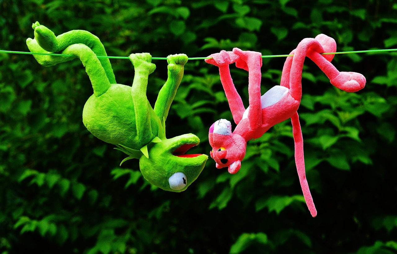 hang out plush toys kermit free photo