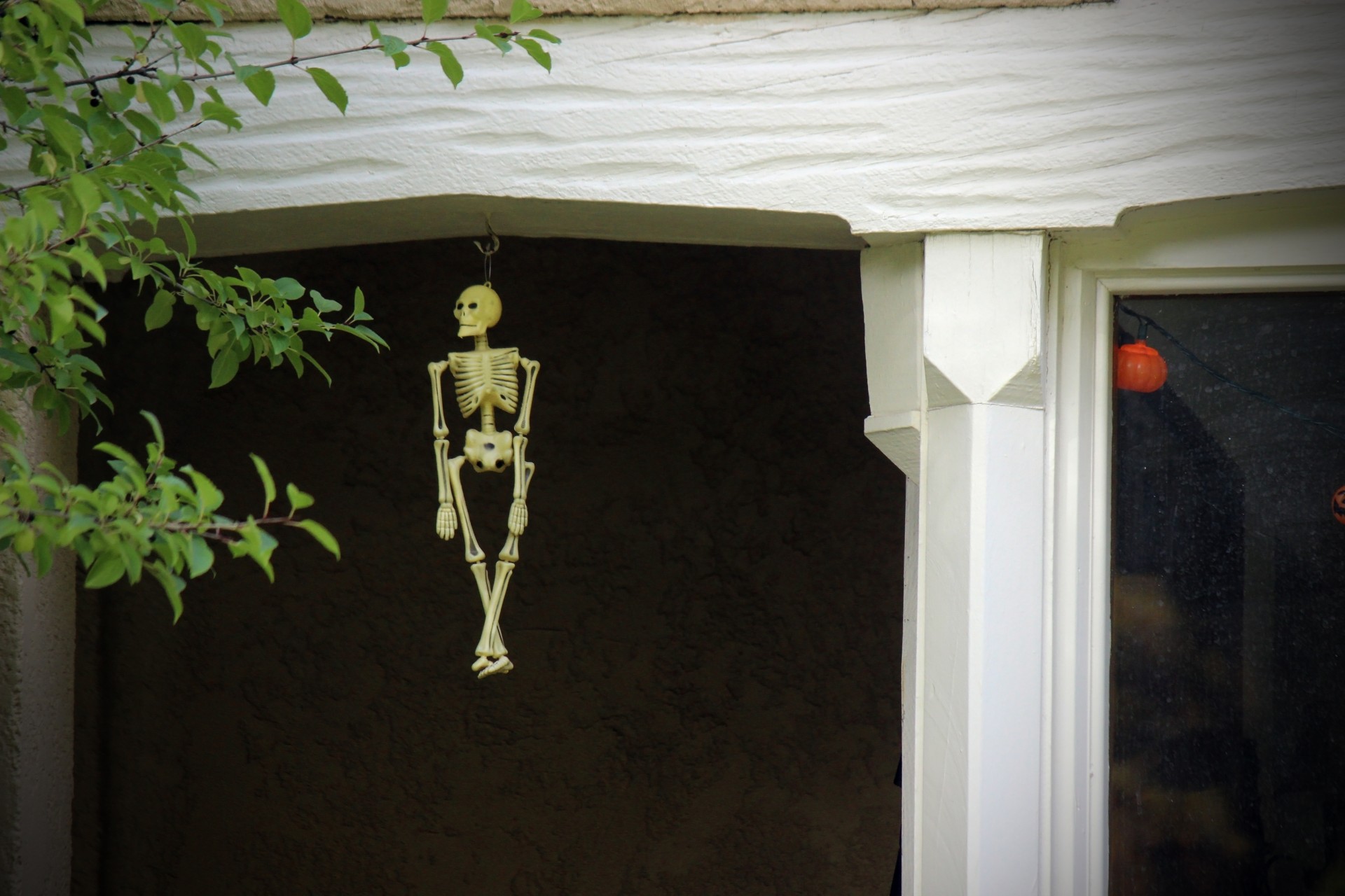 halloween skeleton decoration free photo