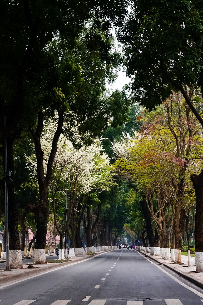 hanoi  street  nice free photo