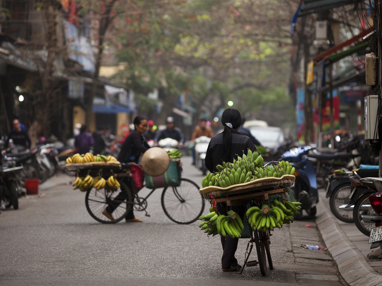 hanoi street food  banana bike  fruit bike in hanoi free photo