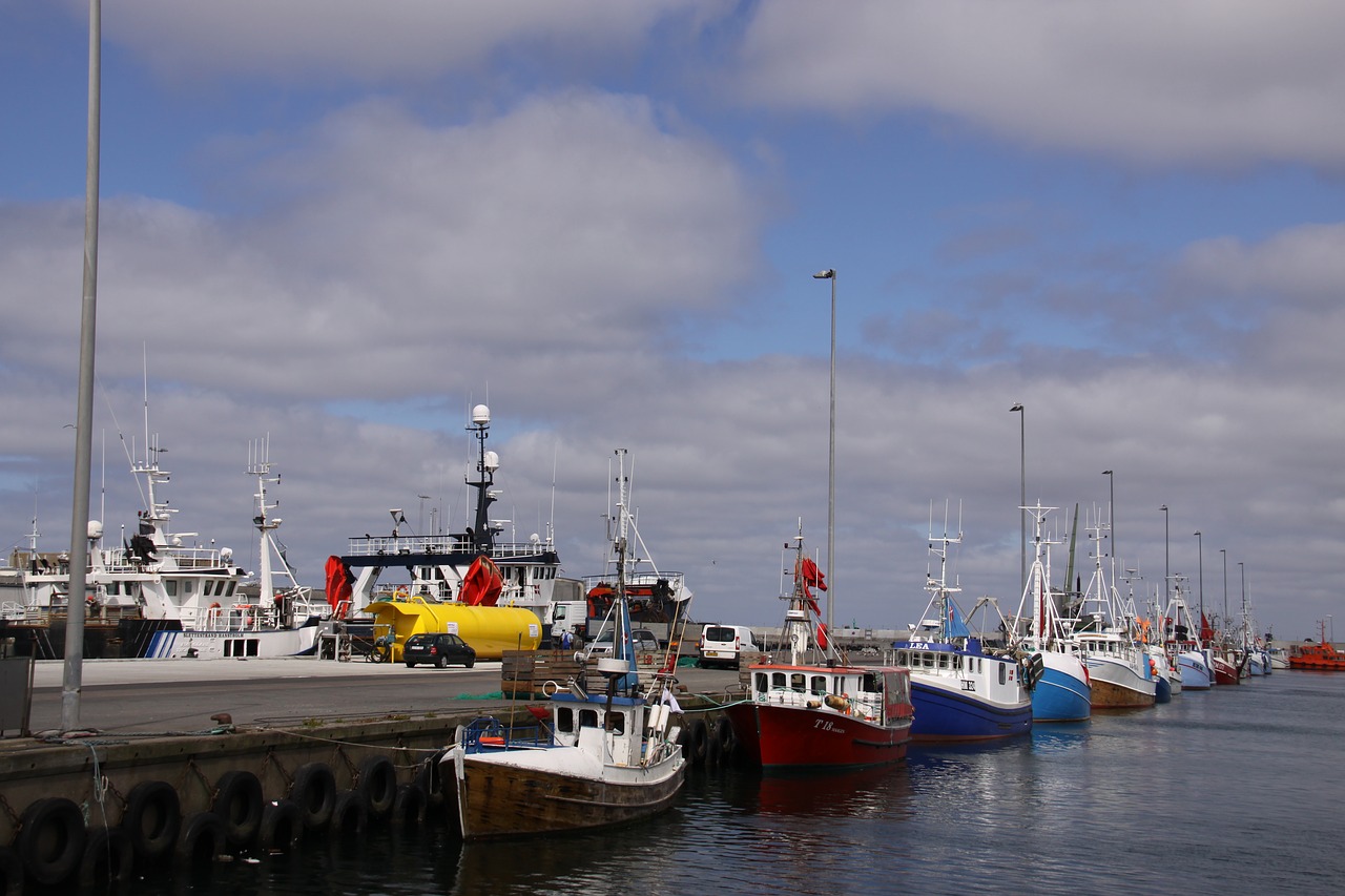 hanstholm harbour jutland free photo
