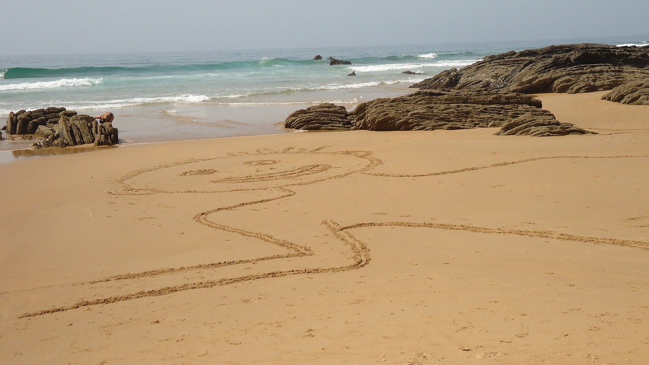 happy beach portugal free photo