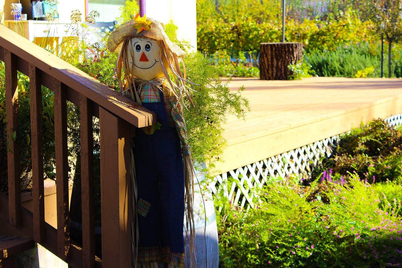 happy scarecrow yard free photo