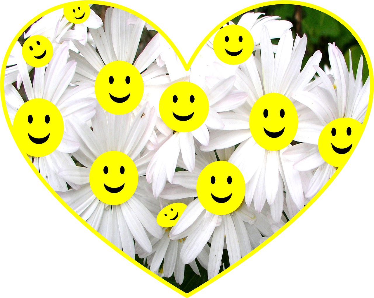 happy face daisy free photo