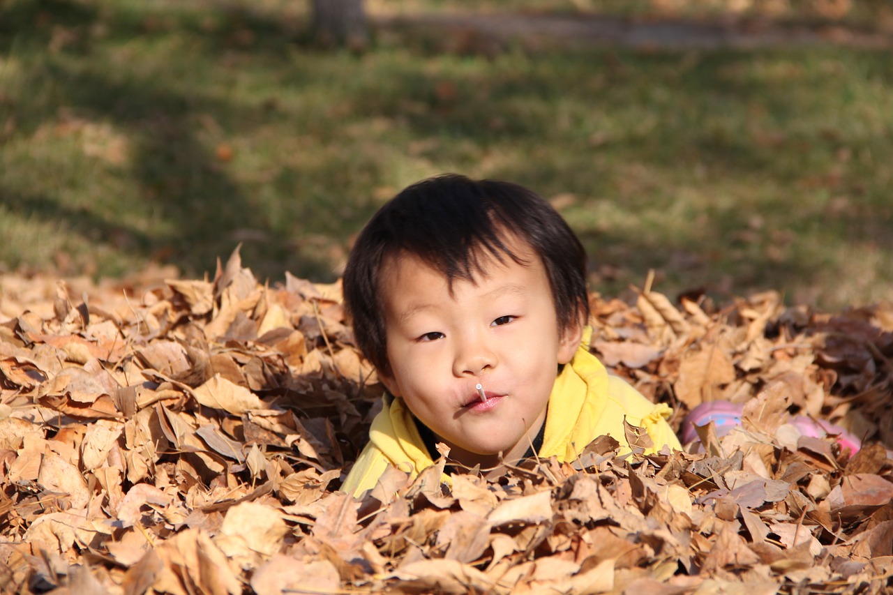 happy kids autumn free photo