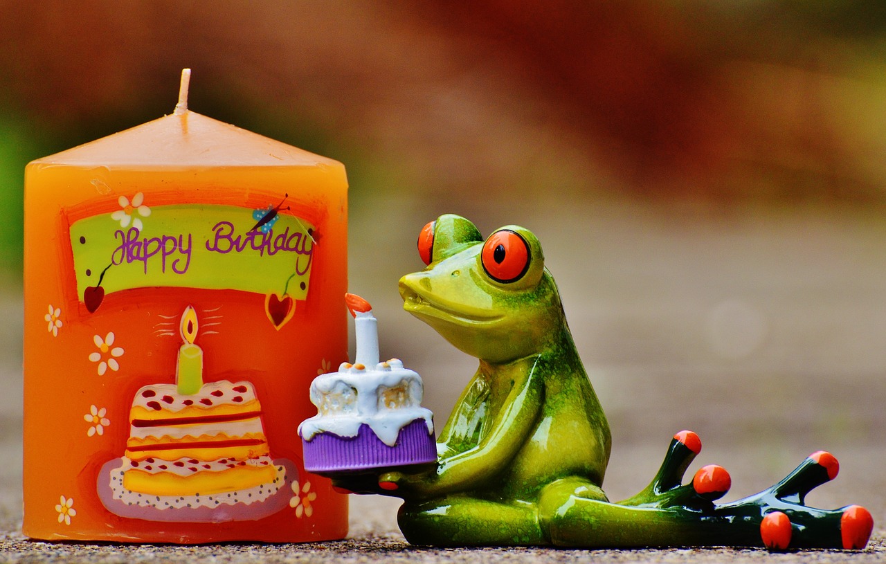 happy birthday birthday frog free photo