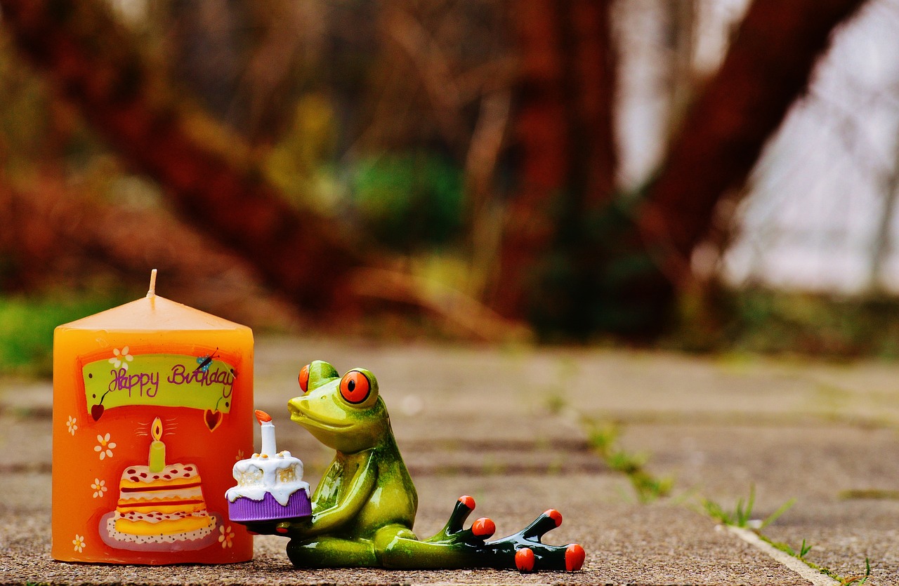Happy birthday,birthday,frog,greeting,greeting card - free photo from needp...