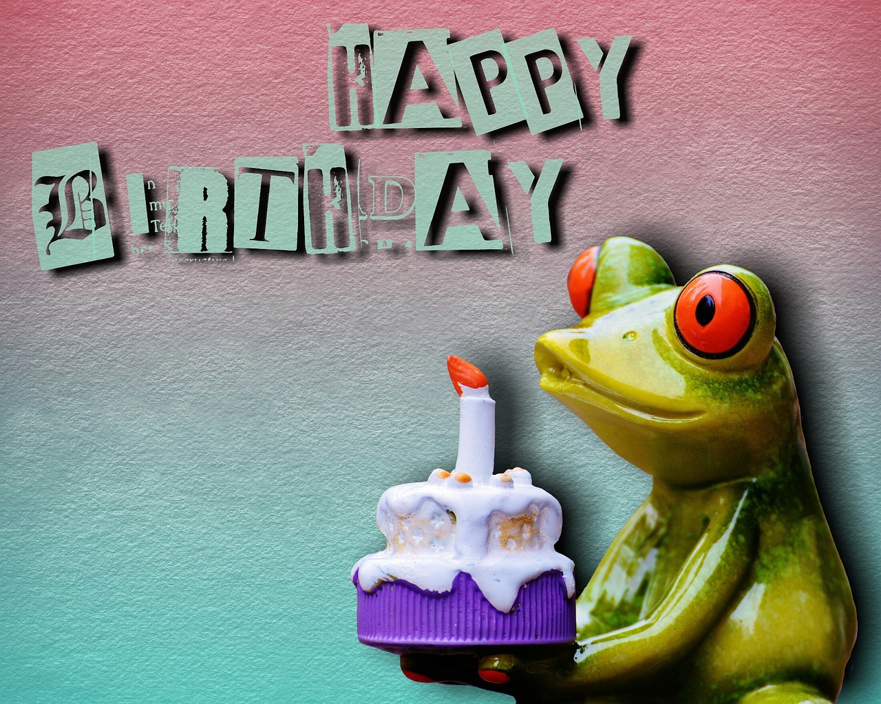 happy birthday birthday frog free photo