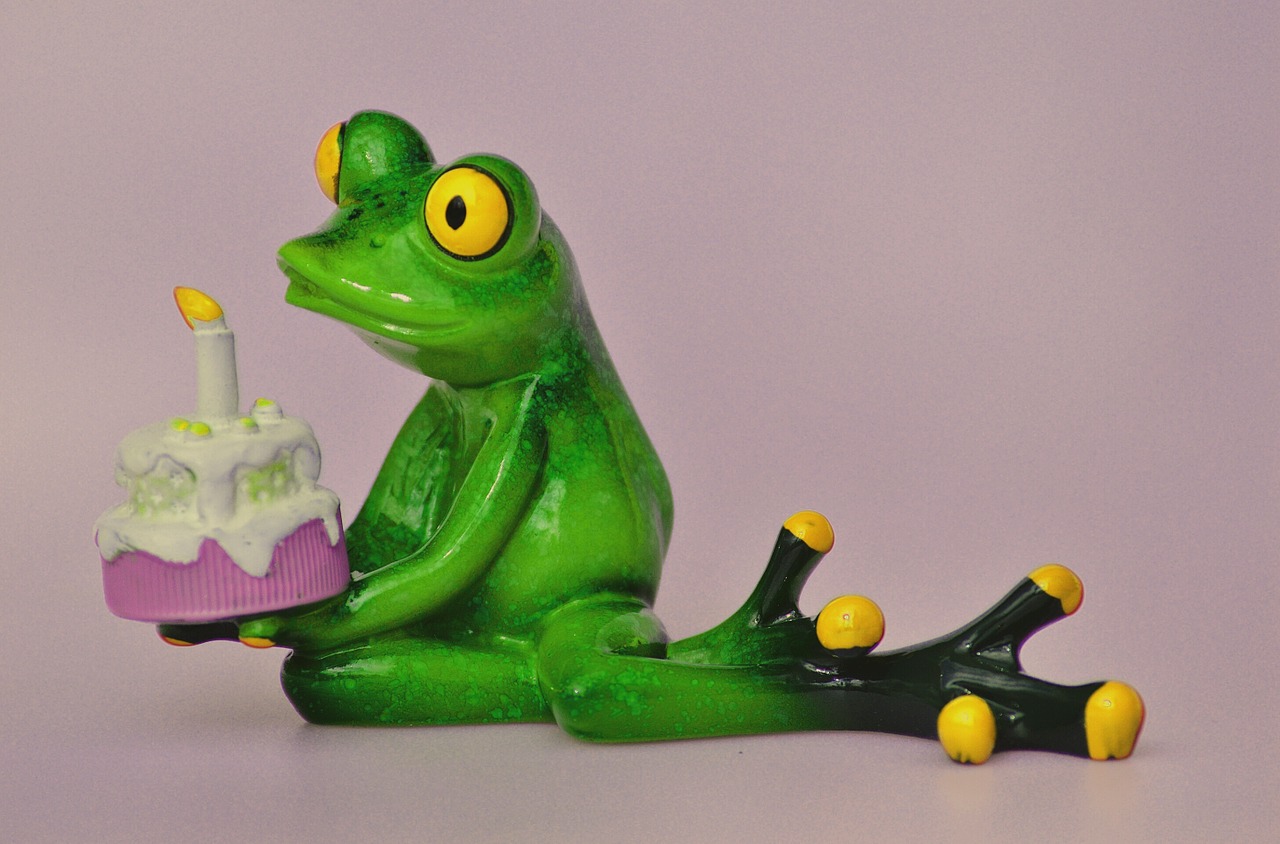 happy birthday birthday frog free photo