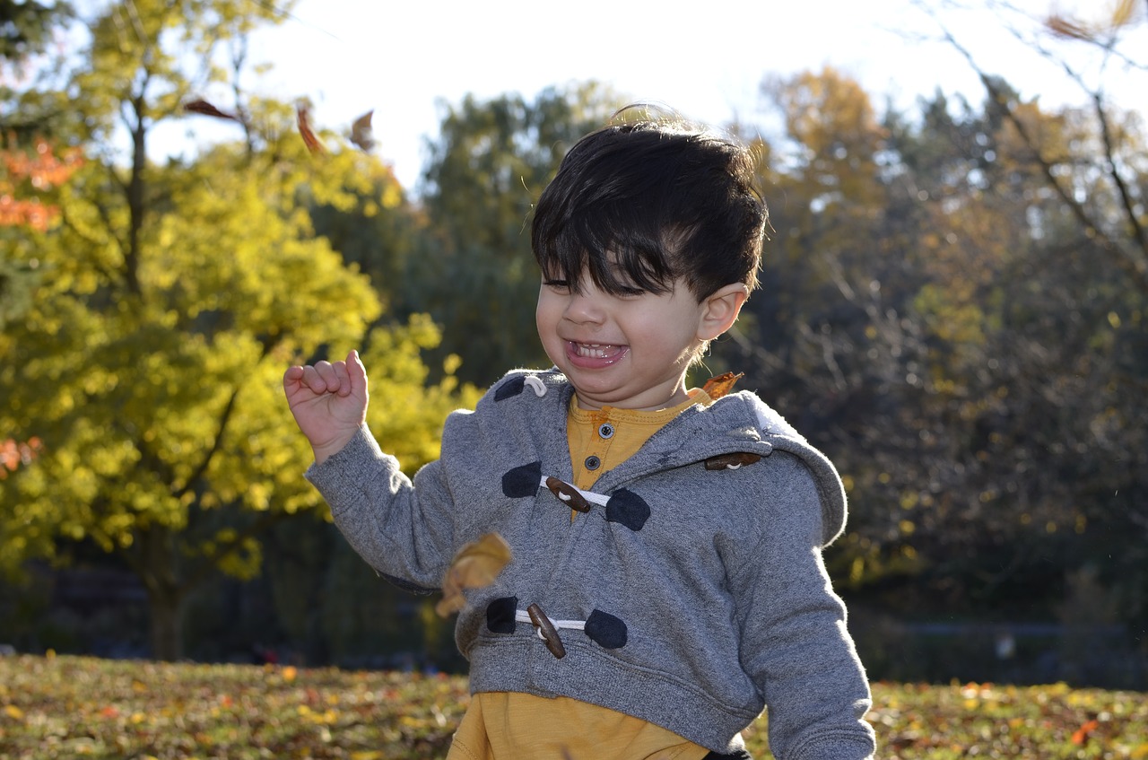 happy boy autumn happy free photo