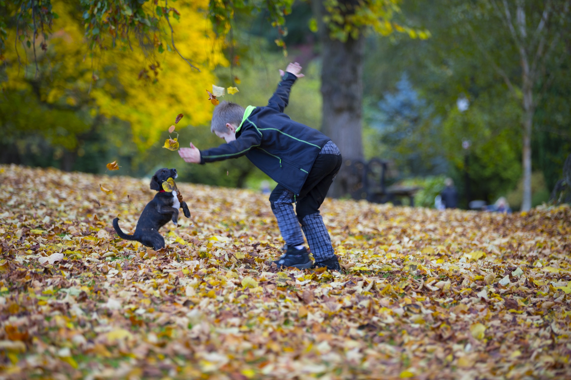 happy boy people free photo