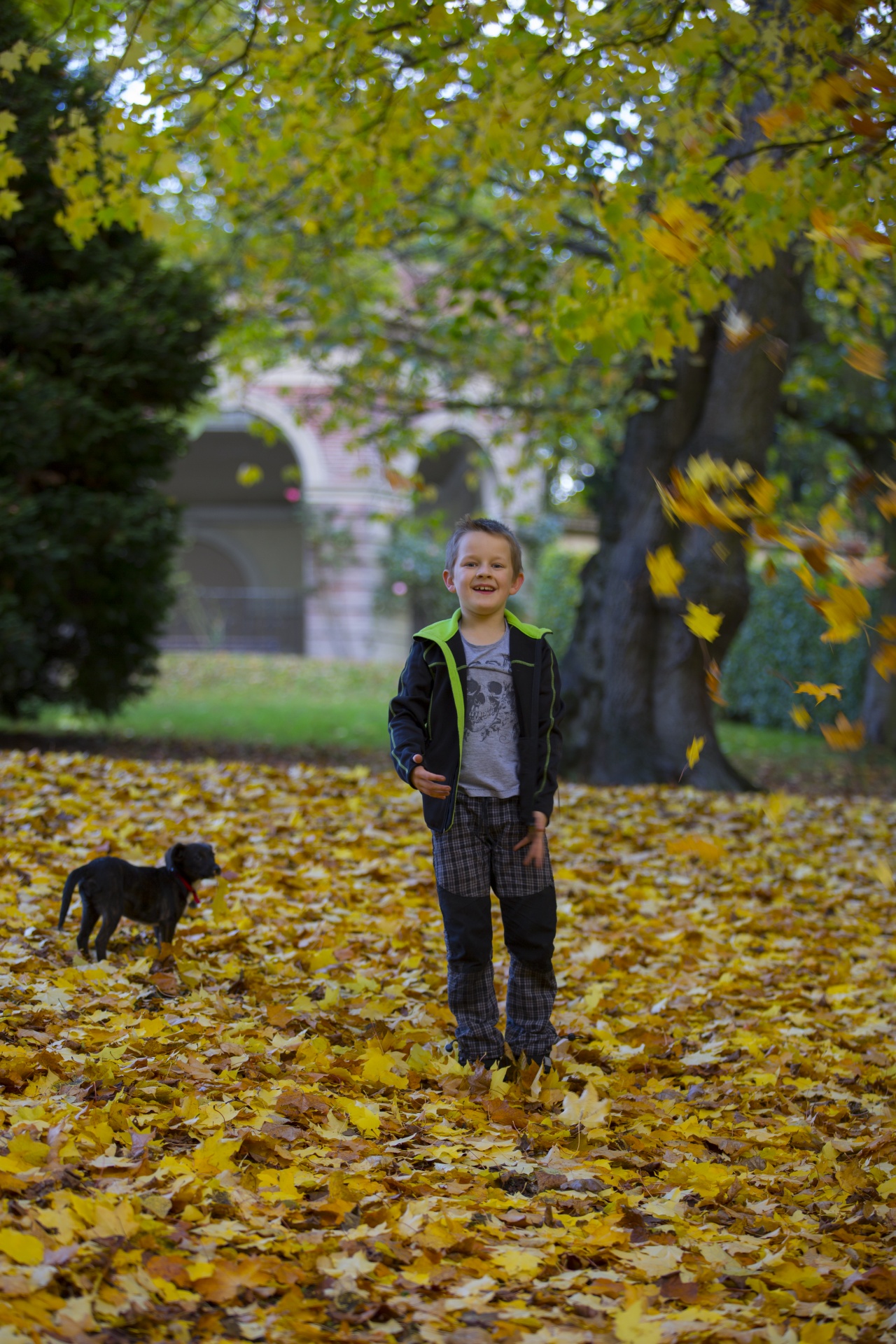 happy boy people free photo