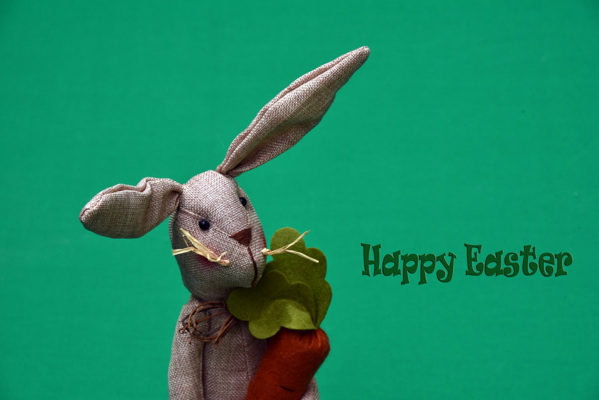 easter holiday rabbit free photo